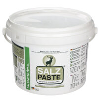 DEUSA Salzpaste Geschmacksrichtung Apfel